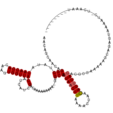secondary structure