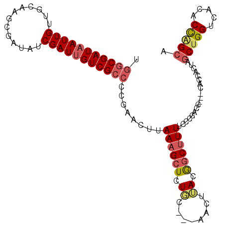 secondary structure