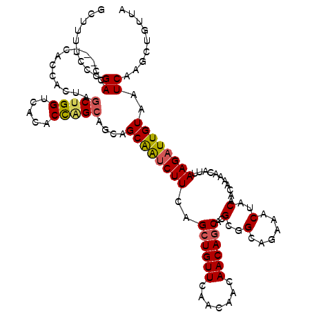 secondary structure
