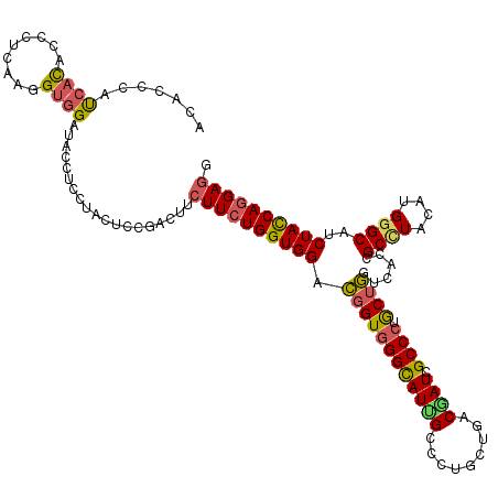 secondary structure