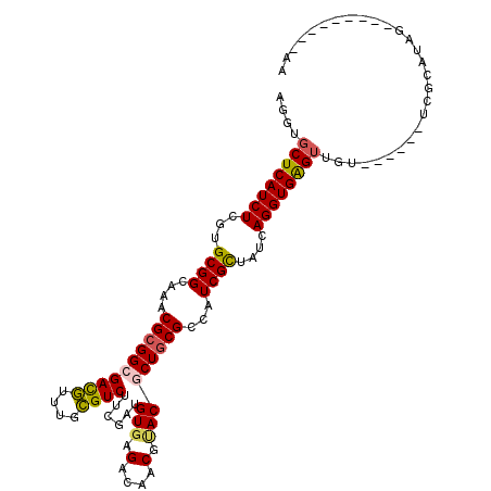 secondary structure