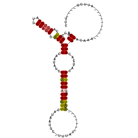 secondary structure