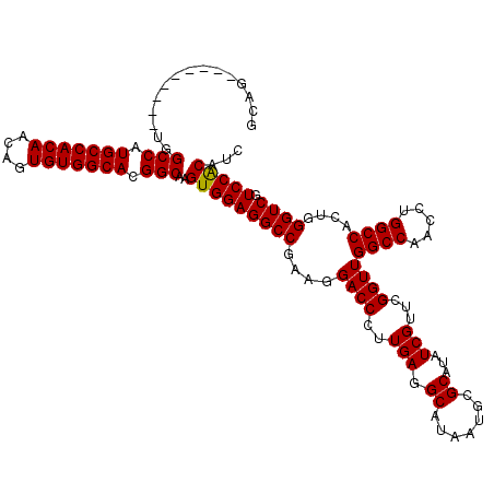 secondary structure