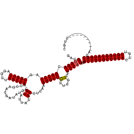 secondary structure