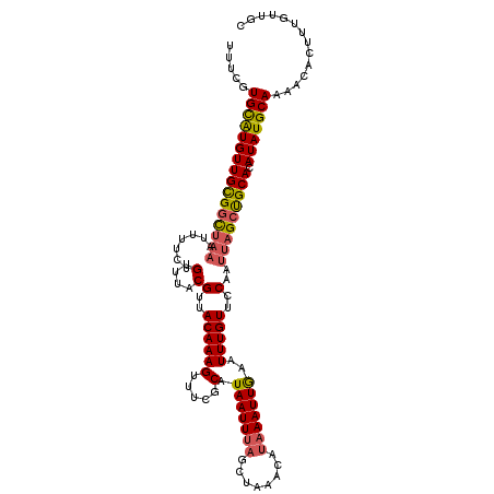 secondary structure