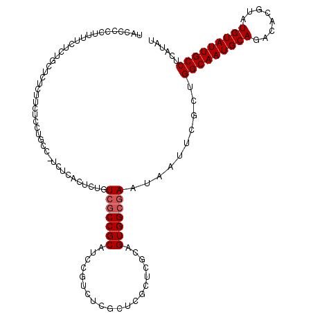 secondary structure