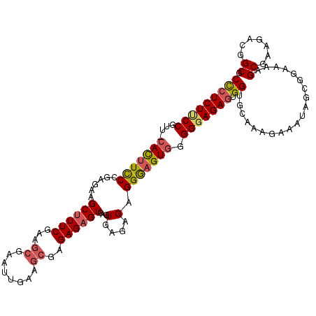 secondary structure