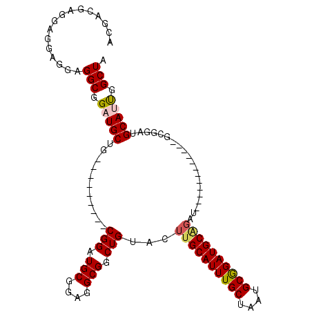 secondary structure