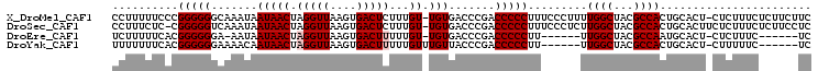 alignment