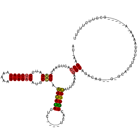 secondary structure
