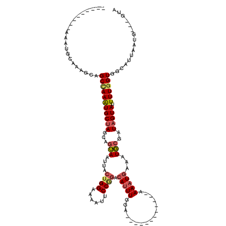 secondary structure