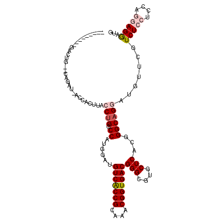secondary structure