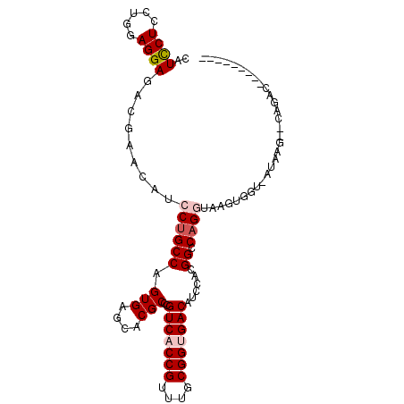 secondary structure