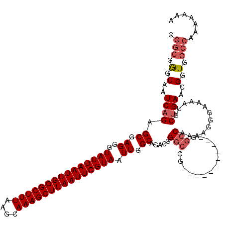 secondary structure