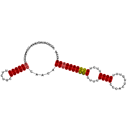 secondary structure
