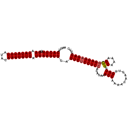 secondary structure