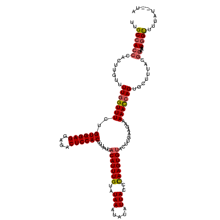 secondary structure