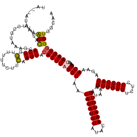 secondary structure
