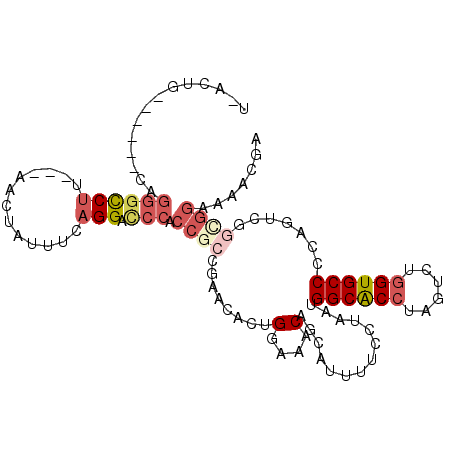secondary structure