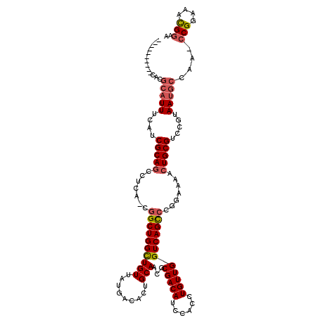 secondary structure