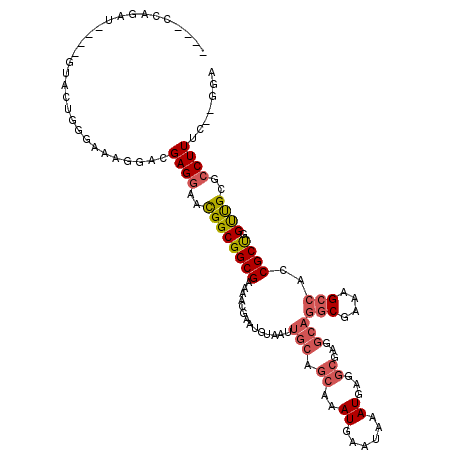 secondary structure