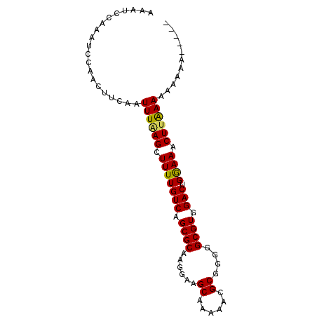 secondary structure