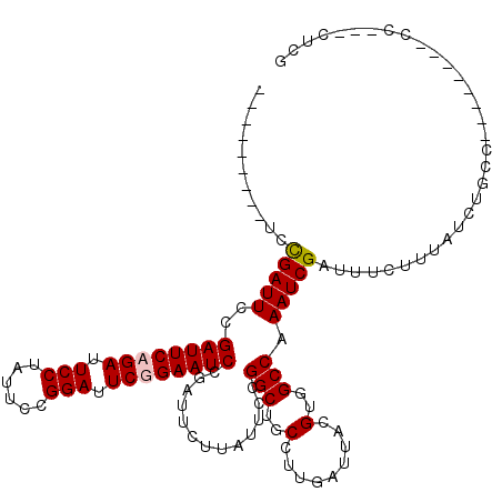 secondary structure