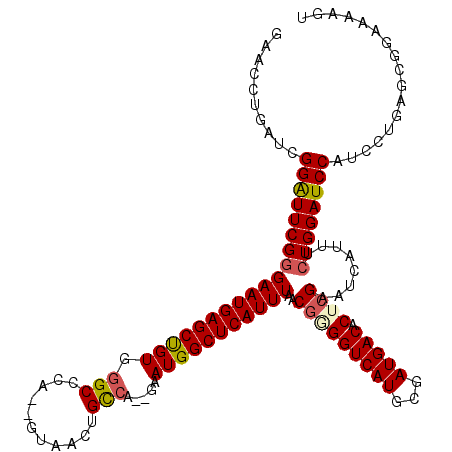 secondary structure