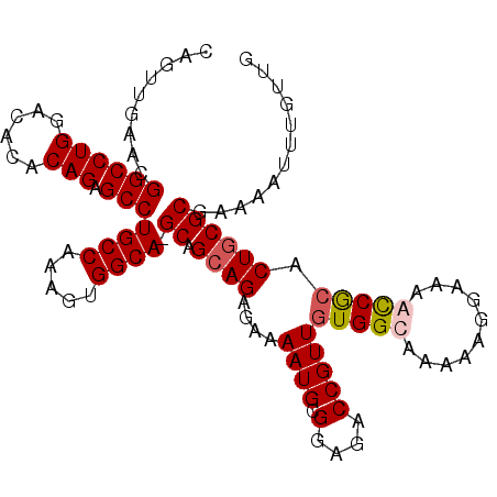 secondary structure