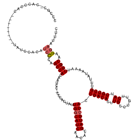 secondary structure