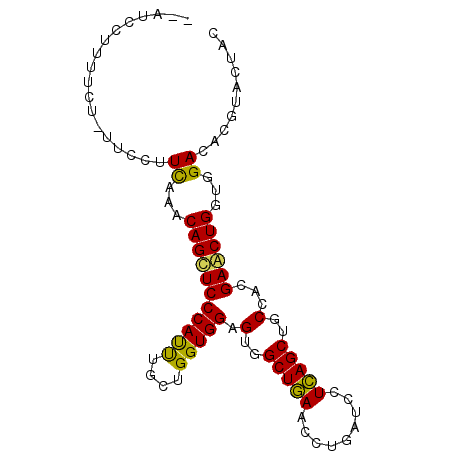 secondary structure