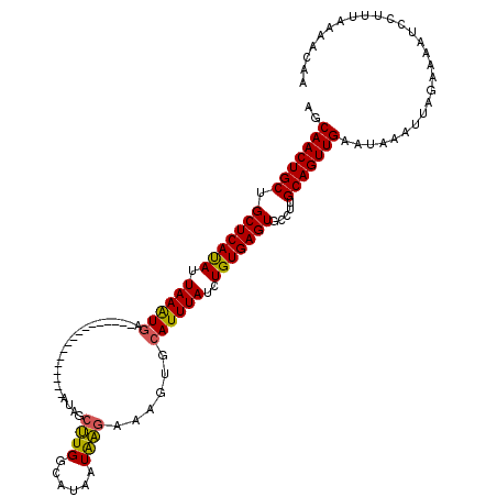 secondary structure