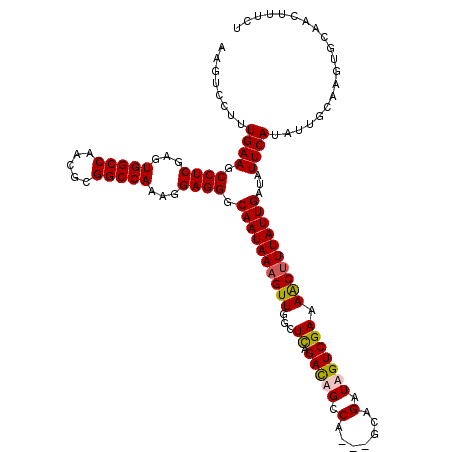 secondary structure