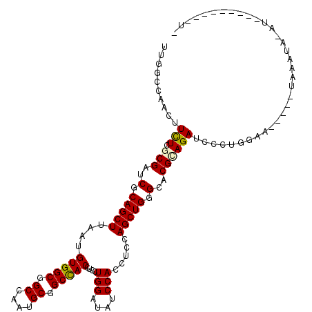 secondary structure