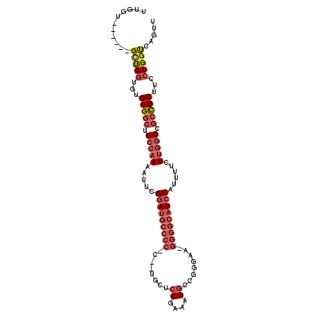 secondary structure