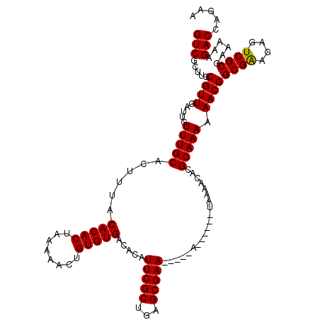 secondary structure