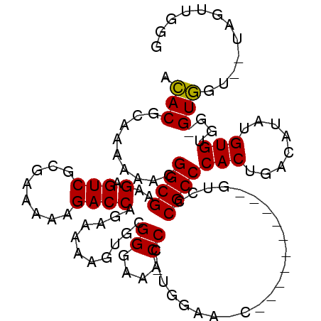 secondary structure