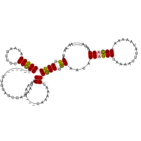 secondary structure