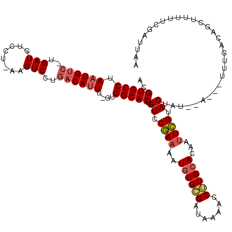 secondary structure