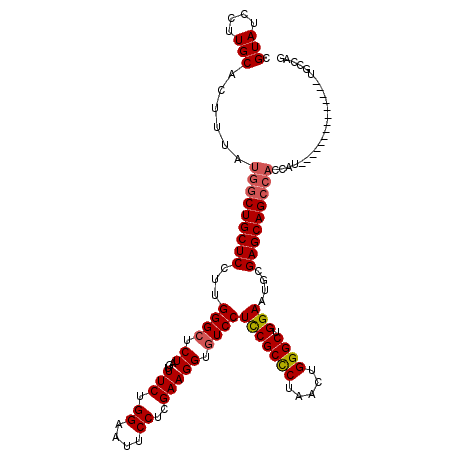 secondary structure