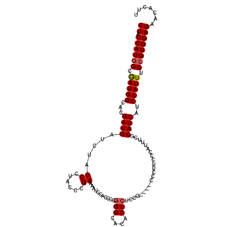secondary structure