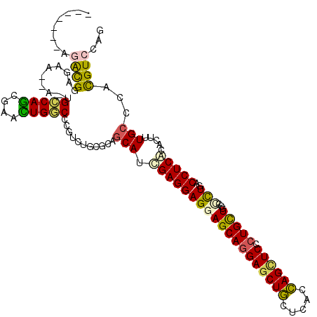 secondary structure