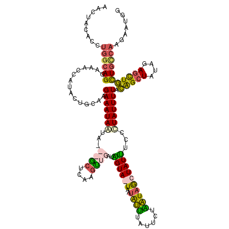 secondary structure