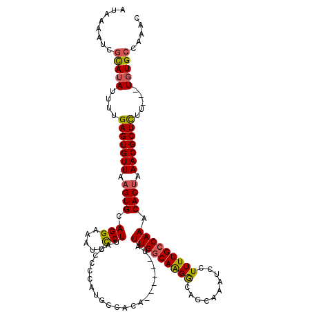 secondary structure