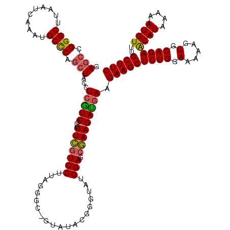 secondary structure