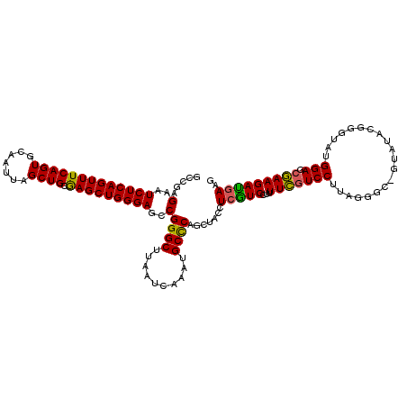 secondary structure
