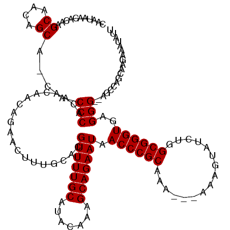 secondary structure