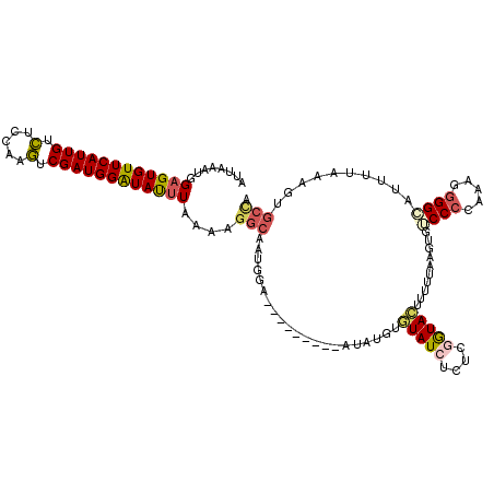 secondary structure