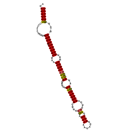 secondary structure