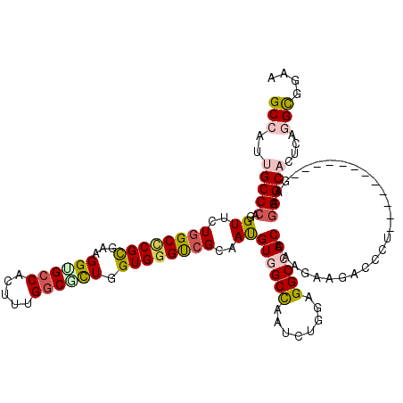 secondary structure